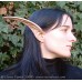 Elven Ears - WoW Elf